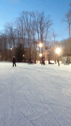 111228_viv_ski