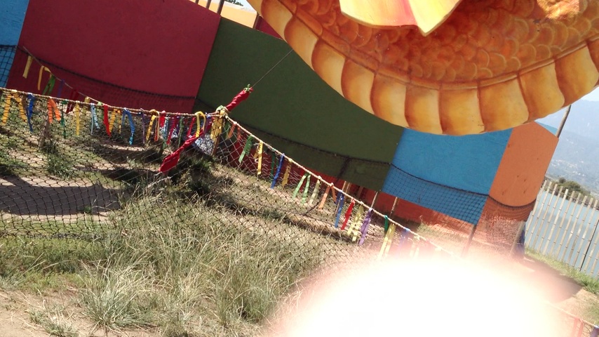 120505_dragon01